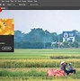 Cách Giúp Ảnh Của Bạn Sống Động Trong Photoshop