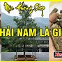 Kỳ Hải Nam Là Gì