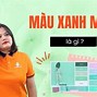 Màu Xanh Mint Nhạt