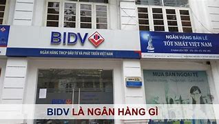 Vốn Nhà Nước Tại Ngân Hàng Bidv